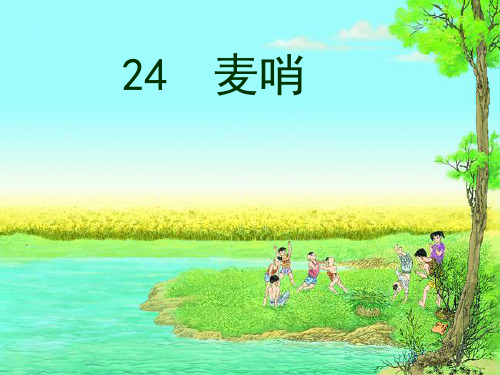 人教四下《24 麦哨》课件.ppt