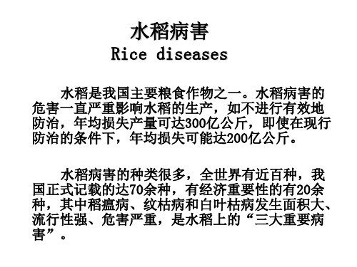 植物保护学课件植物保护学-水稻病害