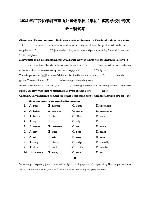 2023年广东省深圳市南山外国语学校(集团)滨海学校中考英语三模试卷(含答案)