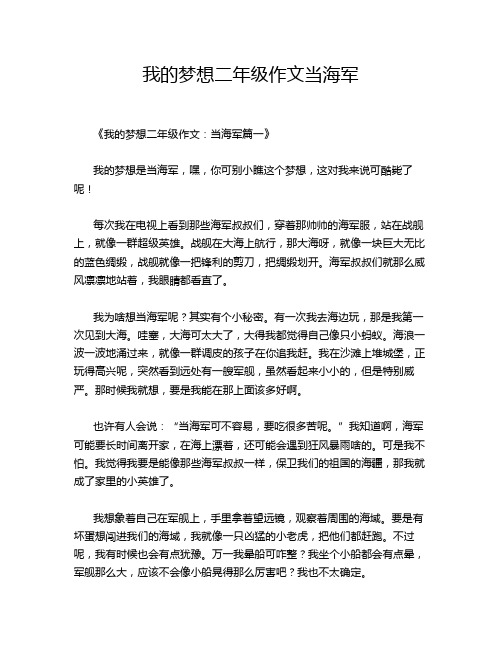 我的梦想二年级作文当海军