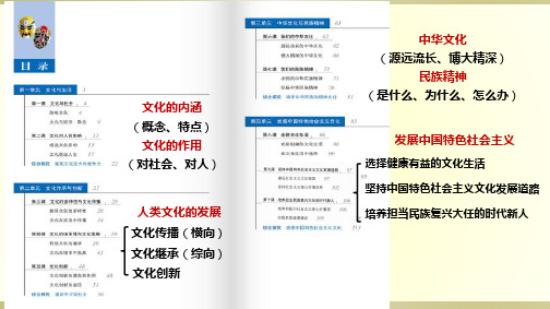 高中政治人教版必修三文化生活1.1体味文化 课件 
