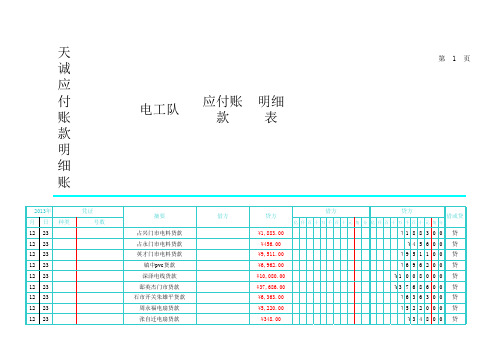 应付账款明细账(xxxx).xls