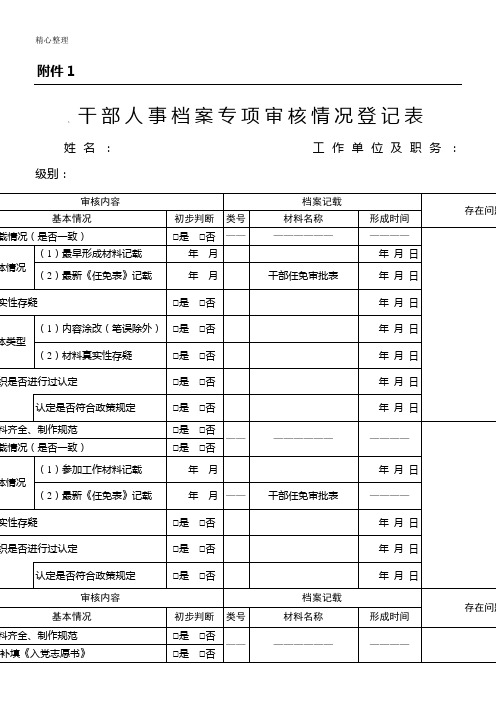 干部人事档案专项审核情况登记表格模板