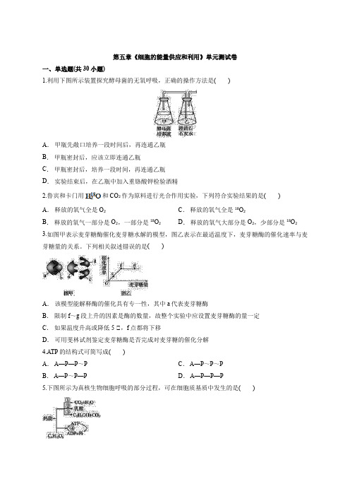 2019-2020学年第一学期人教版高中生物必修1第五章《细胞的能量供应和利用》单元测试卷