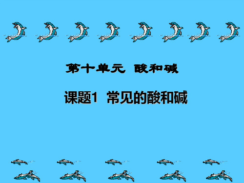 人教版初中化学九下10.1 常见的酸和碱 课件 _2PPT