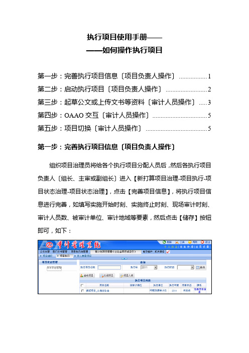 执行项目使用手册——