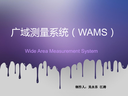 广域测量系统(WAMS)