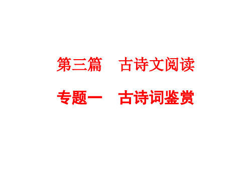 浙江省2018年中考语文总复习课件：练习 第二篇 专题一 古诗词鉴赏 (共28张PPT)