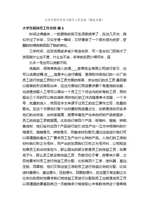 大学生程序员实习报告工作总结（精选5篇）