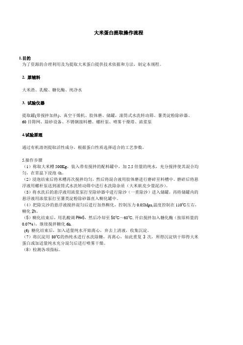 大米蛋白提取操作流程