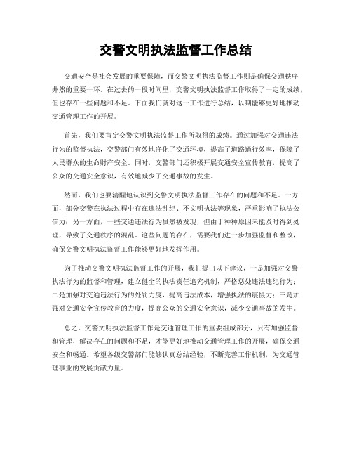 交警文明执法监督工作总结