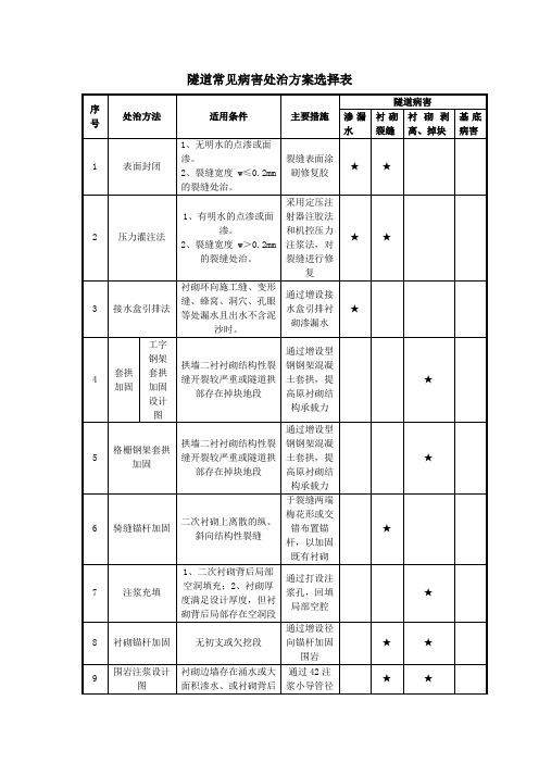 隧道常见病害处治方案选择表