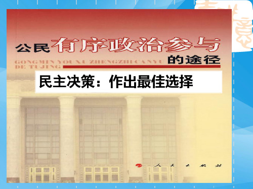 民主决策：作出最佳选择PPT课件10 人教课标版