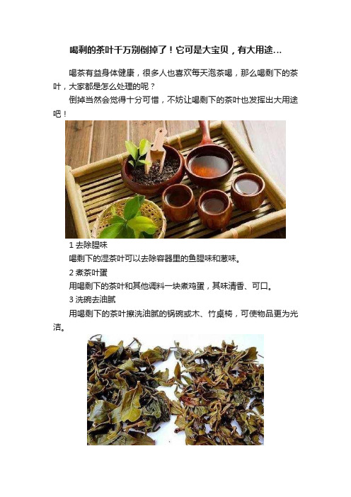 喝剩的茶叶千万别倒掉了！它可是大宝贝，有大用途…