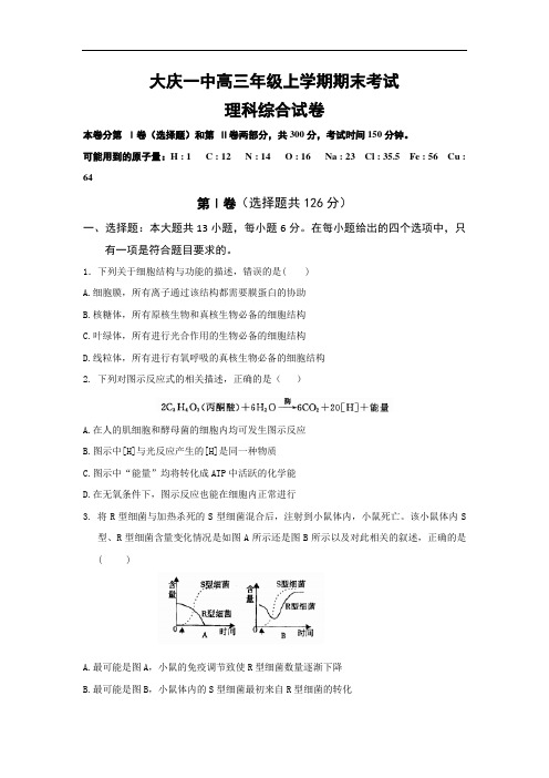 黑龙江省大庆第一中学高三上学期期末考试理科综合试题 Word版含答案