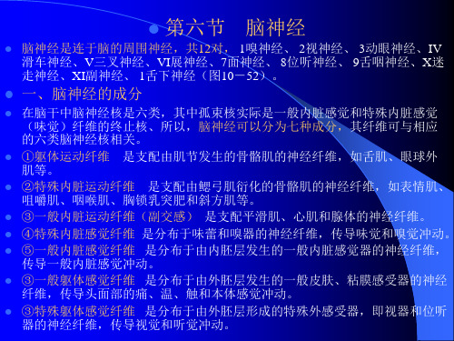 第六节脑神经脑神经是连于脑的周围神经,共12对,1嗅神经