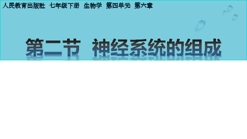 人教版七年级下册生物《神经系统的组成》公开课课件设计