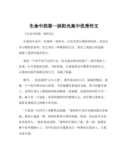 生命中的那一抹阳光高中优秀作文