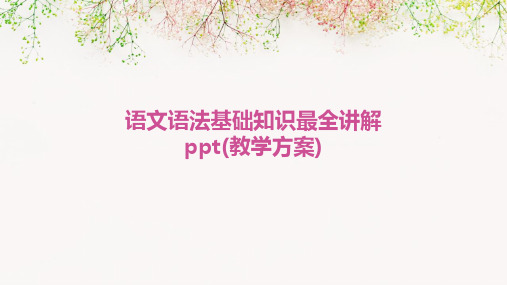 语文语法基础知识最全讲解ppt(教学方案)