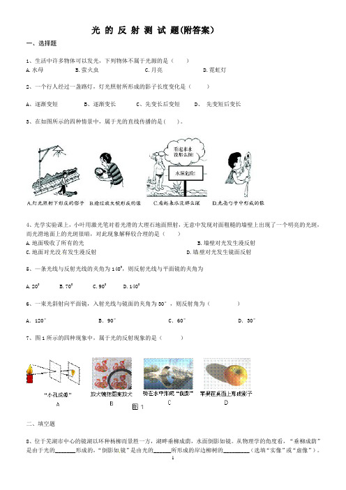 光 的 反 射 测 试 题(附答案)