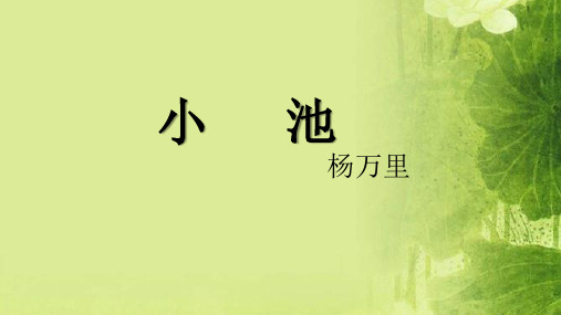 新部编版语文一年级下册11古诗二首《小池》(课件)