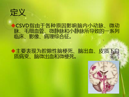 脑小血管病共识讲义.ppt