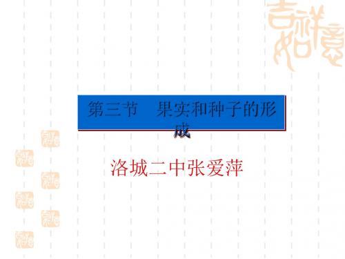 果实和种子的形成 PPT课件4 济南版