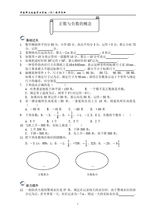 正数和负数的概念同步作业