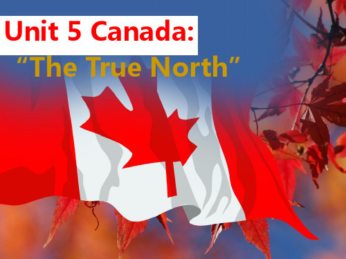 人教版高中英语必修三课件：Unit-5-Canada-—“The-True-North”-Using