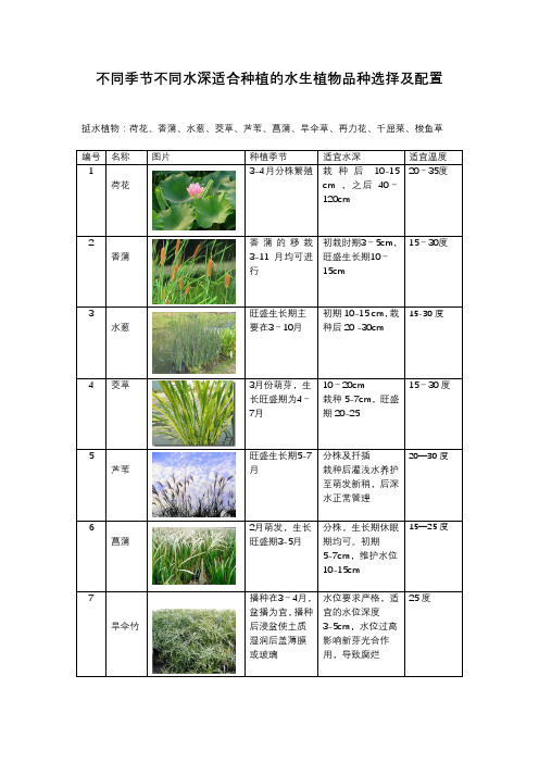 不同季节不同水深适合种植的水生植物选择