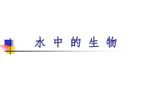 七年级下册第10和11章知识点整理