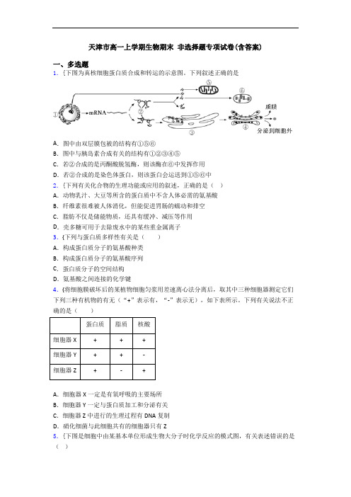 天津市高一上学期生物期末 非选择题专项试卷(含答案)