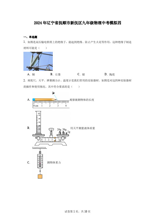 2024年辽宁省抚顺市新抚区九年级物理中考模拟四