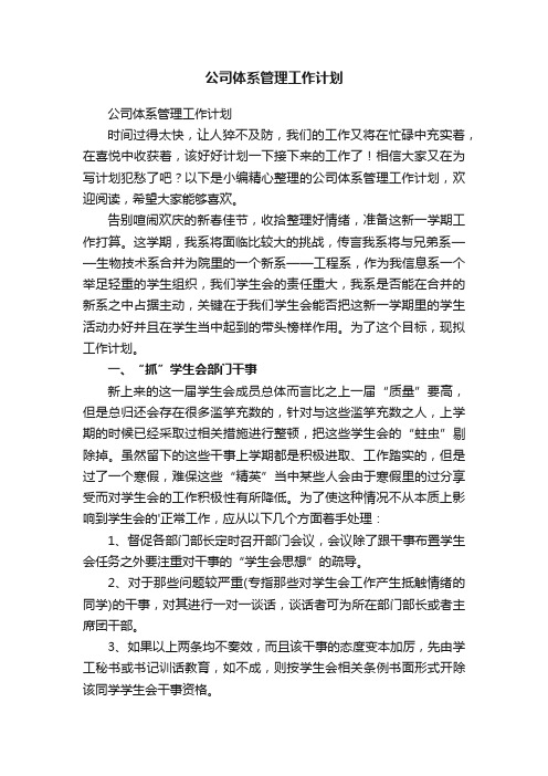 公司体系管理工作计划