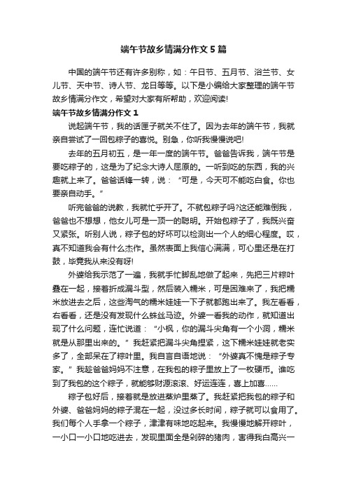 端午节故乡情满分作文5篇