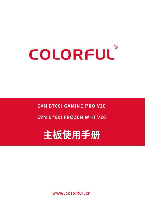 七彩虹CVN B760I GAMING PRO V20 主板使用手册说明书