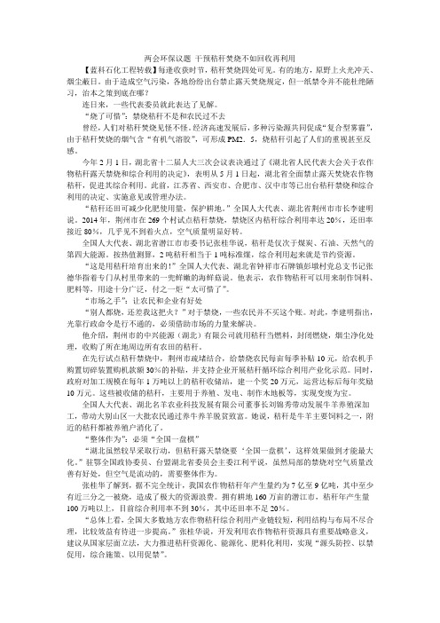 两会环保议题 干预秸秆焚烧不如回收再利用