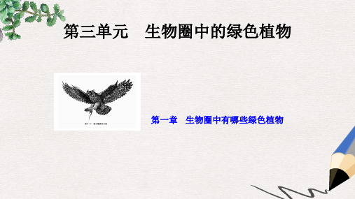 广东省河源市七年级生物上册 3.1生物圈中有哪些绿色植物课件 (新版)新人教版
