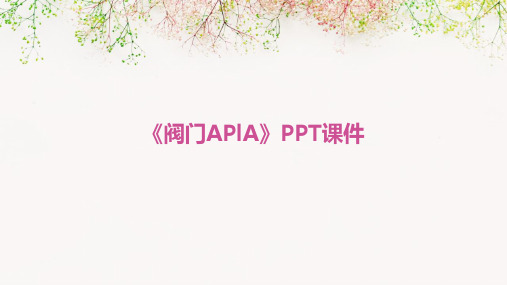 《阀门APIA》课件