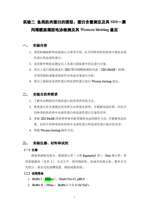 实验二  鱼类肌肉蛋白的提取、蛋白含量测定及其SDS-聚丙烯酰胺凝胶电泳检测及其Western blotting鉴定