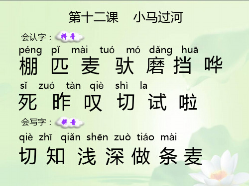 12 小马过河_生字词学习