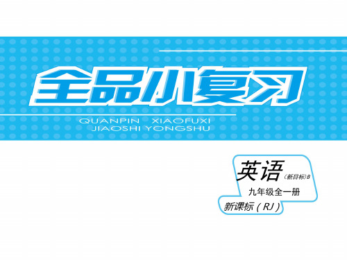 九年级英语人教版-全一册