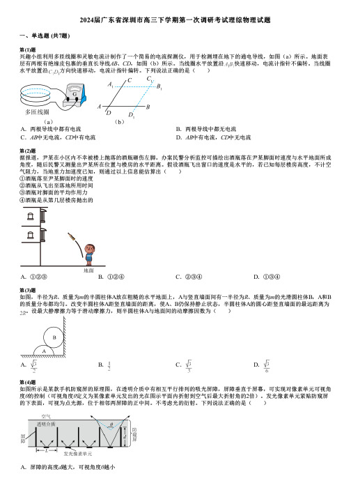 2024届广东省深圳市高三下学期第一次调研考试理综物理试题