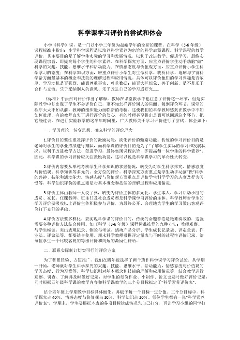 科学课学习评价的尝试和体会