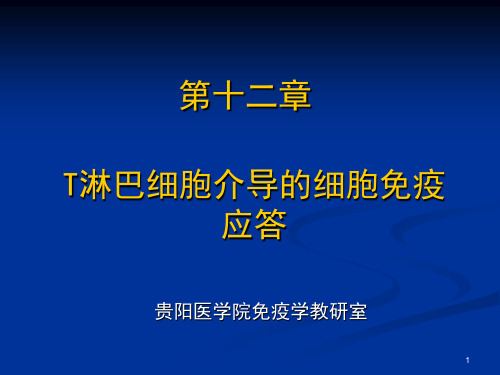 细胞免疫应答 PPT课件