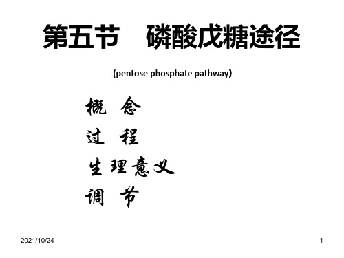 生物化学磷酸戊糖途径 糖异生及糖原合成