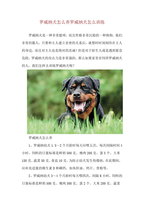 罗威纳犬怎么养 罗威纳犬怎么训练