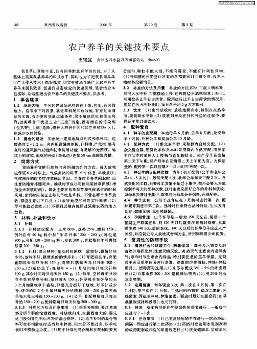 农户养羊的关键技术要点