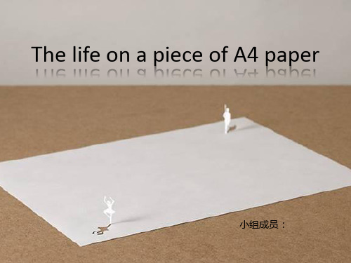 英语小组演讲PPT：A4纸上的人生(The life on a piece of A4 paper)