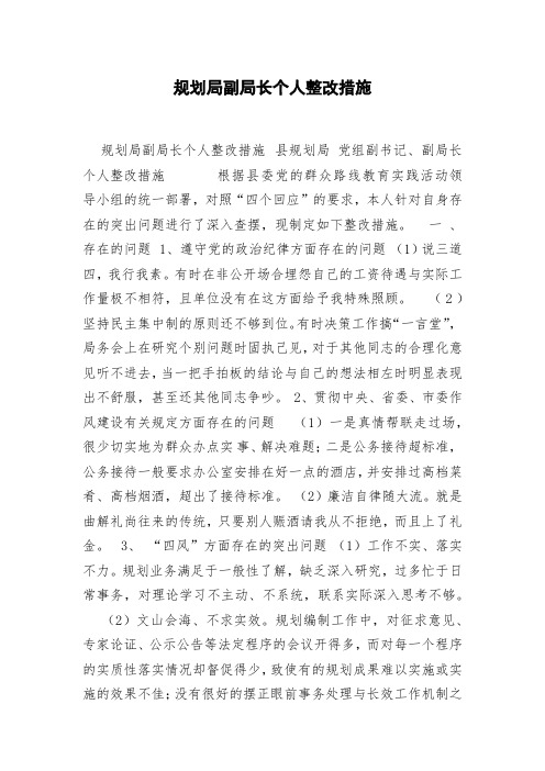 规划局副局长个人整改措施